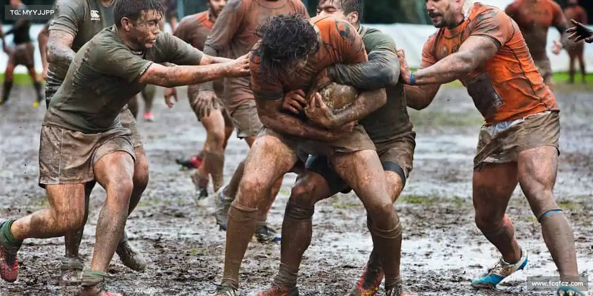 <strong>UED</strong>汗水不白流，健康陪你走！🏋️♀️